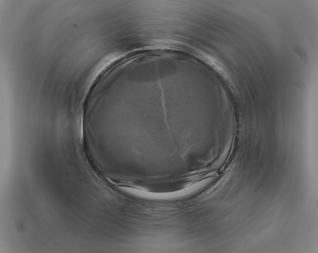 X0000113301275200910051035