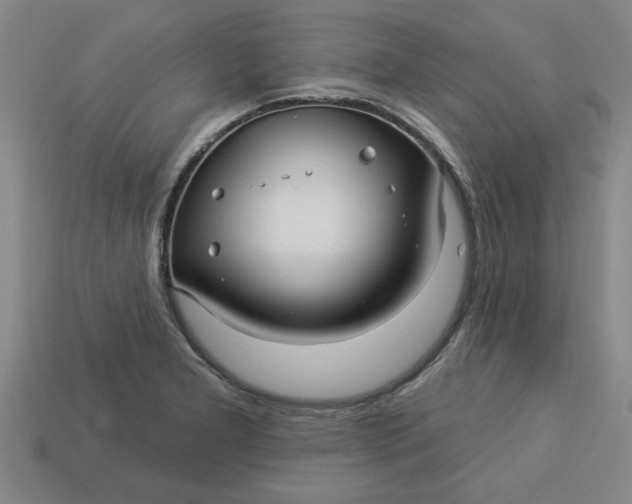 X0000113301277200910051035