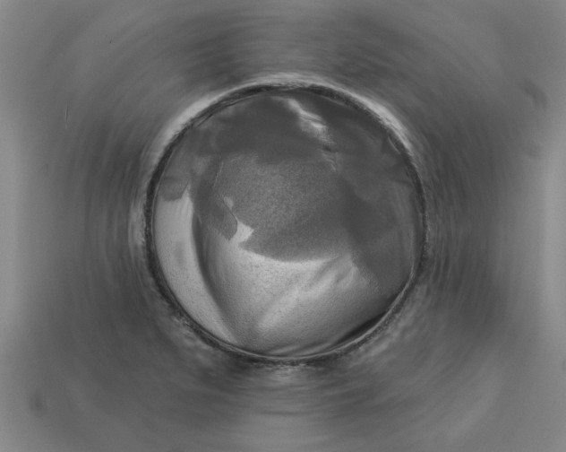 X0000113301279200910051035