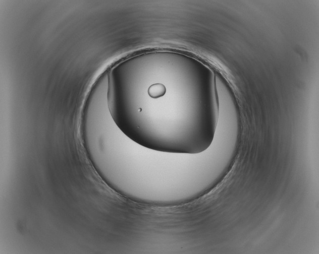 X0000113301280200910051035