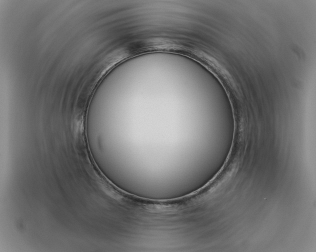 X0000113301281200910051035