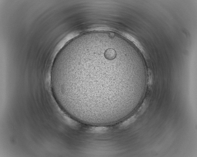 X0000113301282200910051035