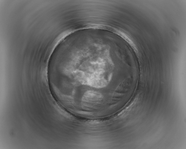 X0000113301283200910051035