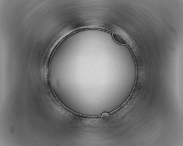 X0000113301284200910051035