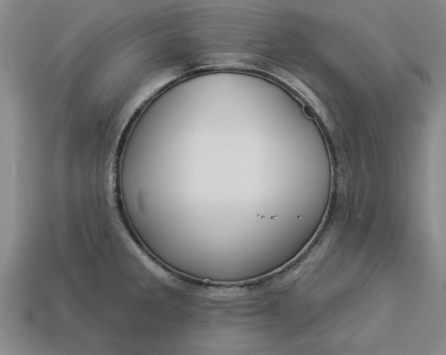 X0000113301285200910051035