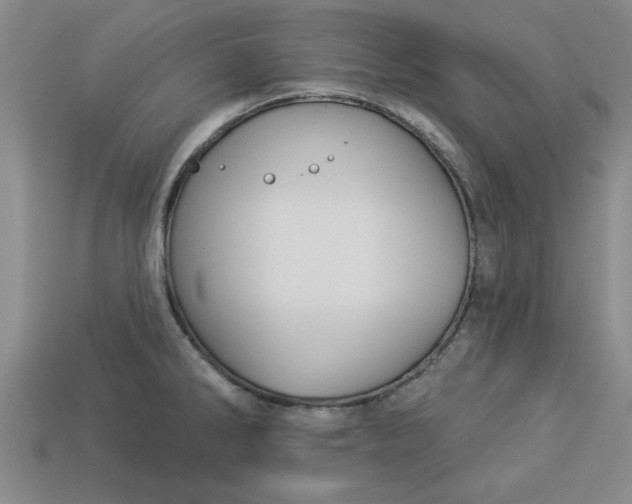 X0000113301286200910051034