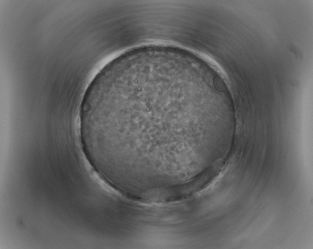 X0000113301287200910051034