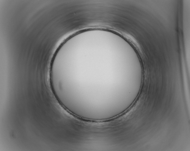 X0000113301288200910051034