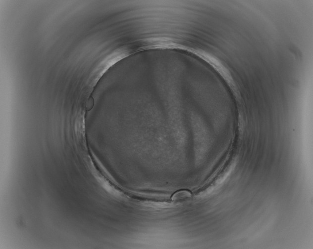 X0000113301289200910051034