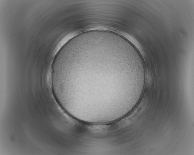 X0000113301290200910051034