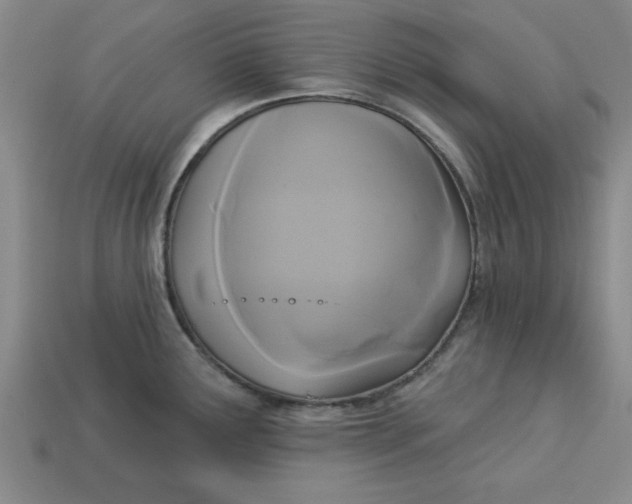 X0000113301291200910051034