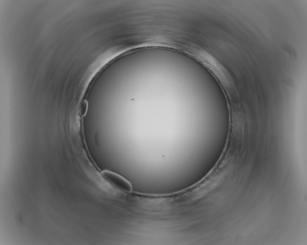 X0000113301292200910051034