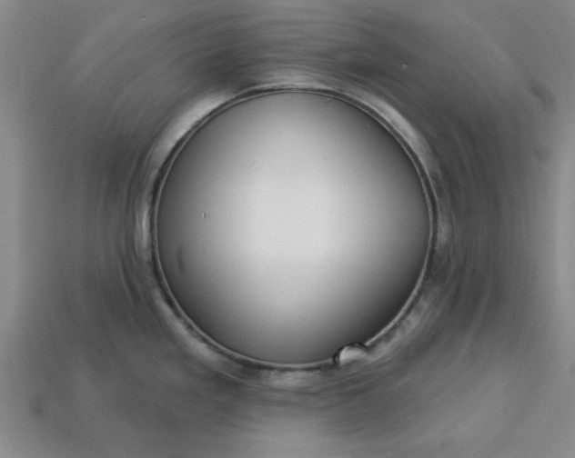 X0000113301293200910051034