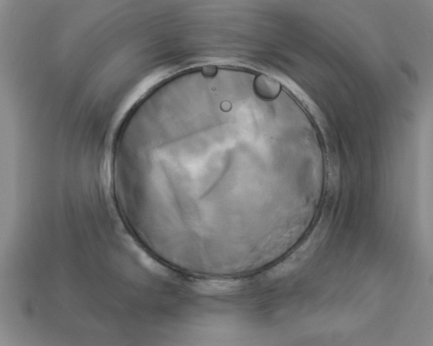 X0000113301294200910051034