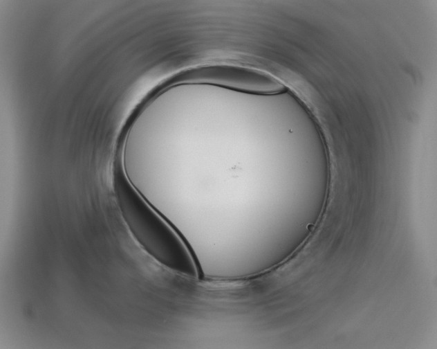 X0000113301296200910051034