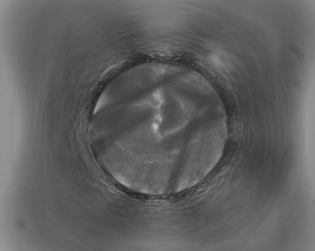 X0000113301297200910051034