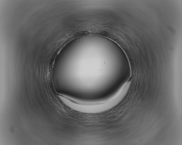 X0000113301298200910051034