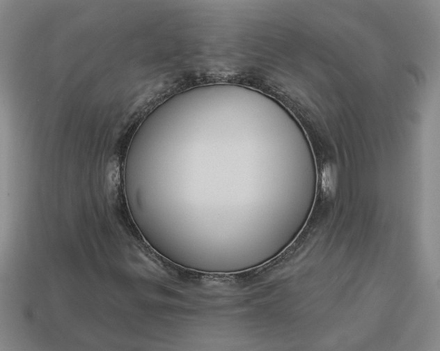 X0000113301299200910051034