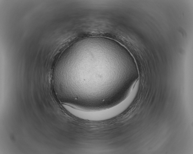 X0000113301300200910051034