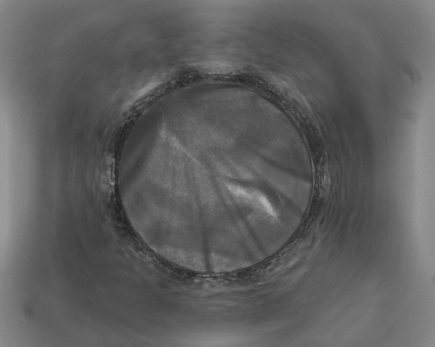 X0000113301301200910051034