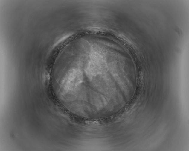 X0000113301302200910051034