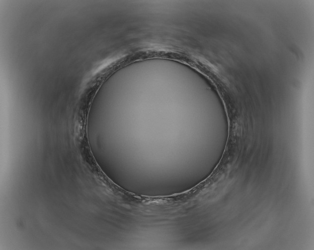 X0000113301303200910051034