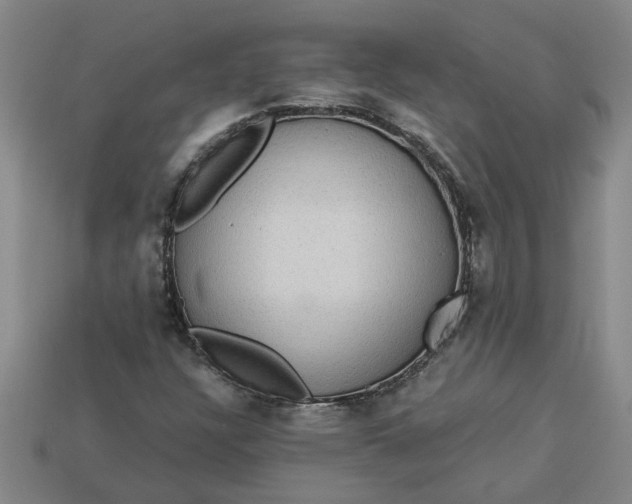 X0000113301304200910051034