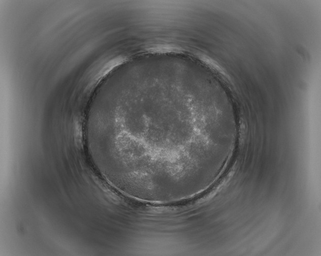 X0000113301305200910051034