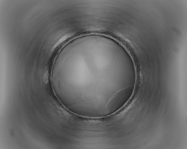 X0000113301306200910051034