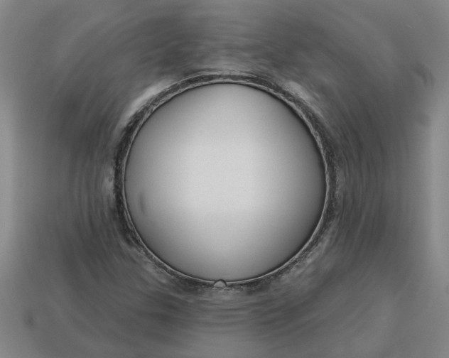 X0000113301307200910051034