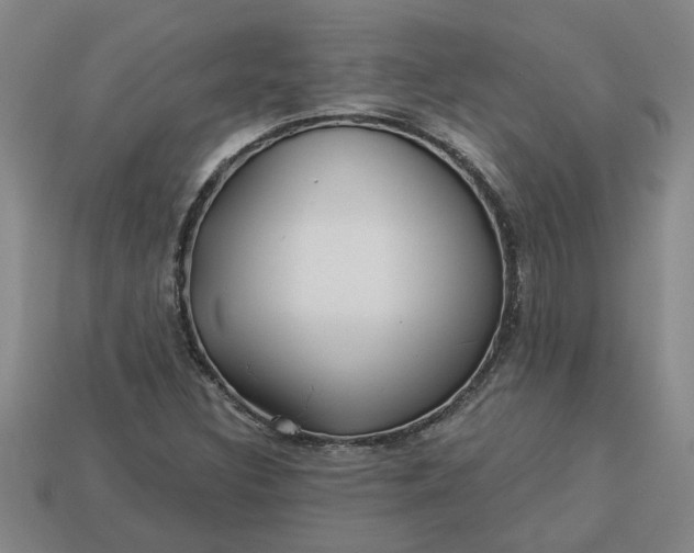 X0000113301308200910051034