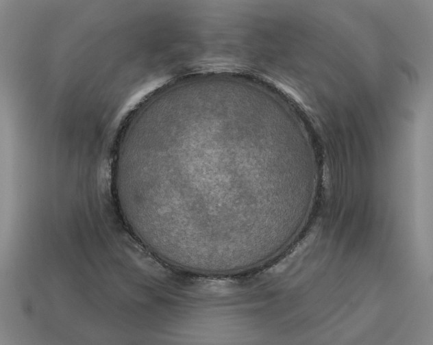 X0000113301309200910051034