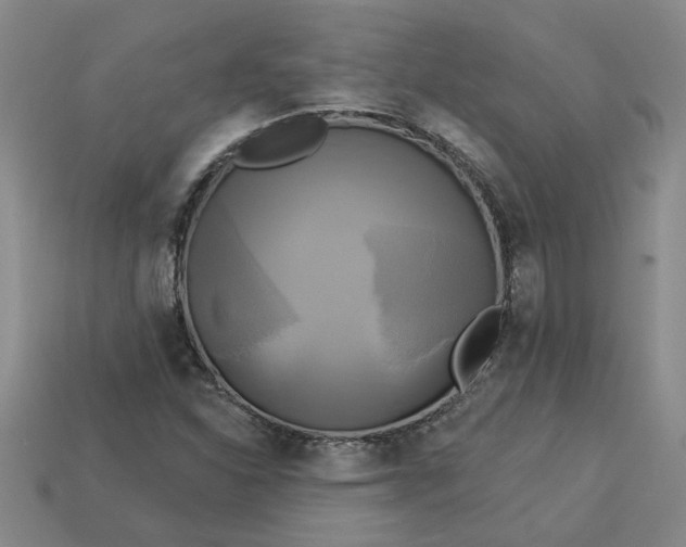 X0000113301310200910051034