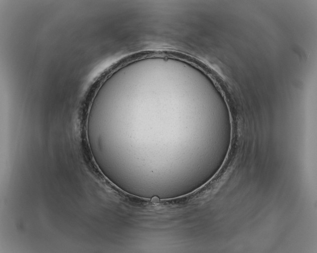 X0000113301311200910051034