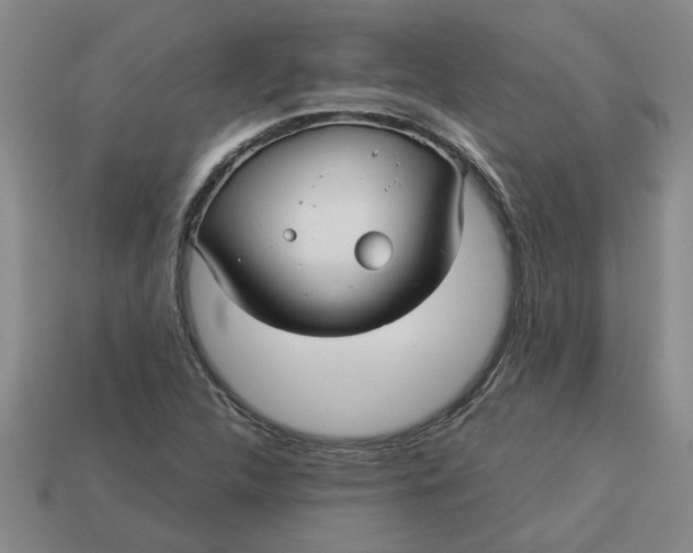 X0000113301312200910051034