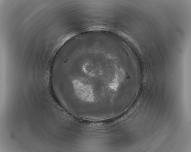 X0000113301313200910051034