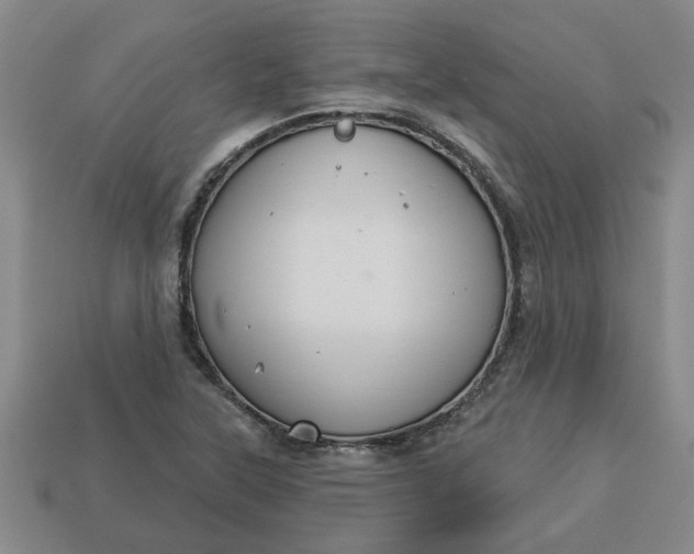 X0000113301315200910051034