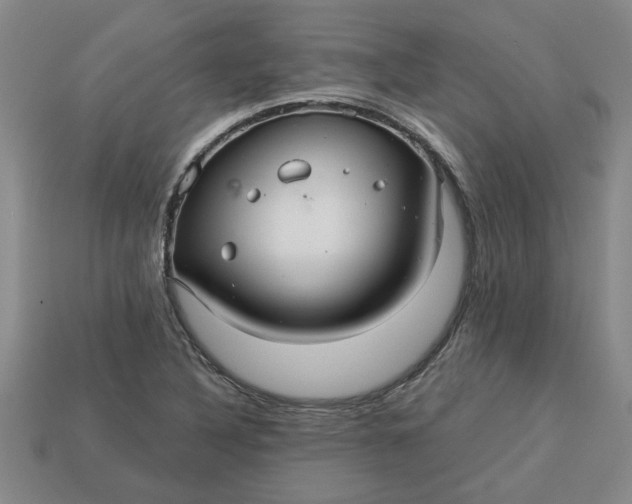 X0000113301316200910051034