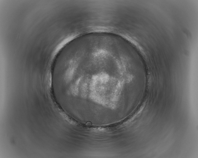 X0000113301317200910051034