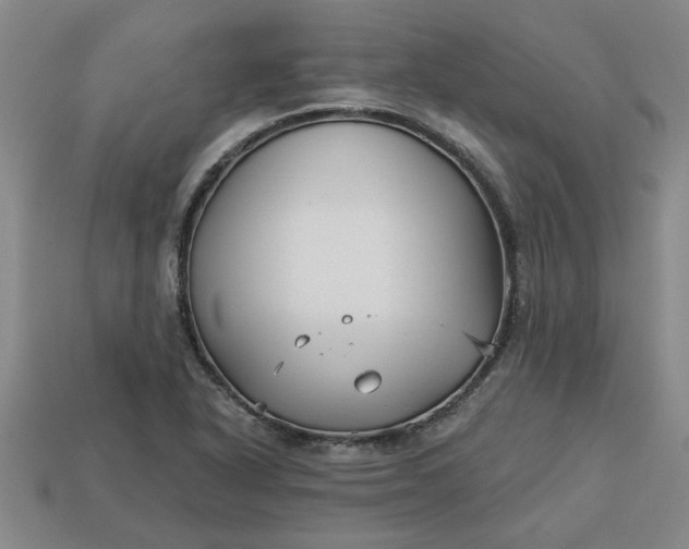 X0000113301318200910051034