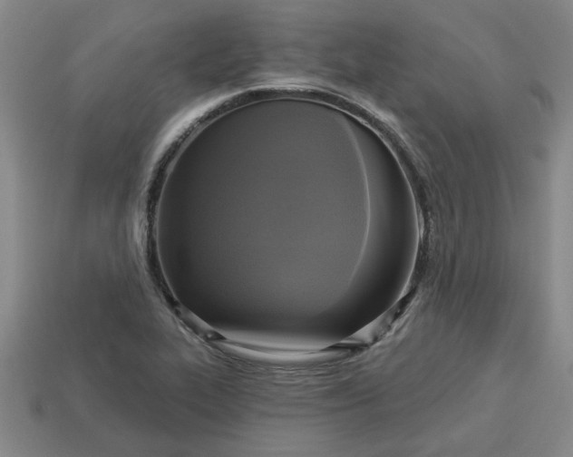 X0000113301319200910051034