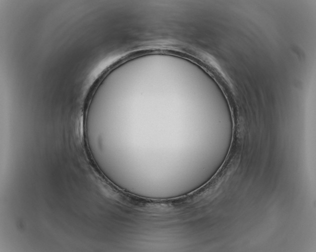 X0000113301320200910051034