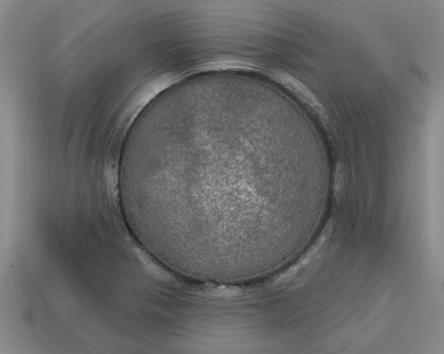 X0000113301321200910051034