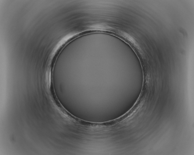 X0000113301323200910051034