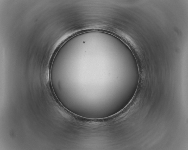 X0000113301324200910051034