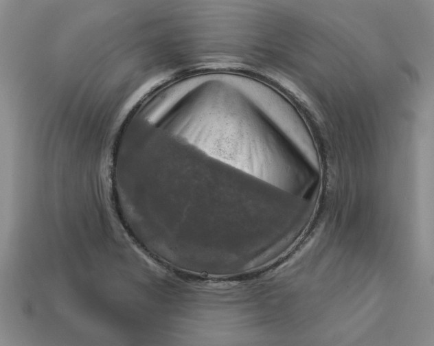 X0000113301325200910051034