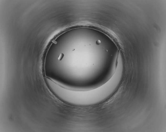 X0000113301326200910051034