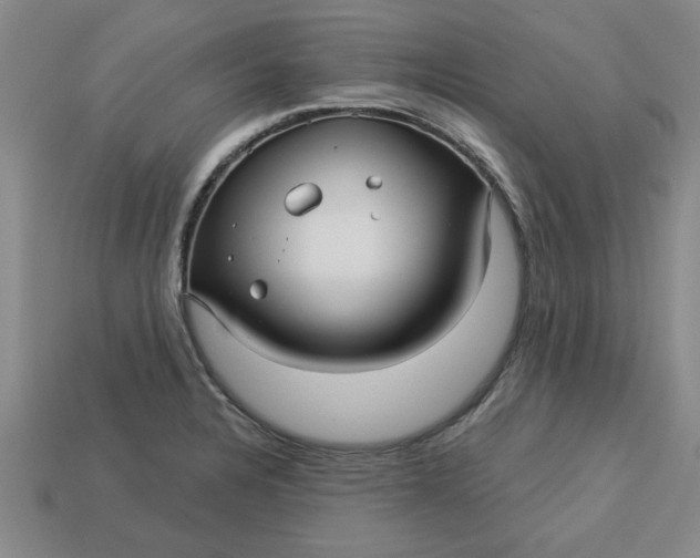 X0000113301328200910051034