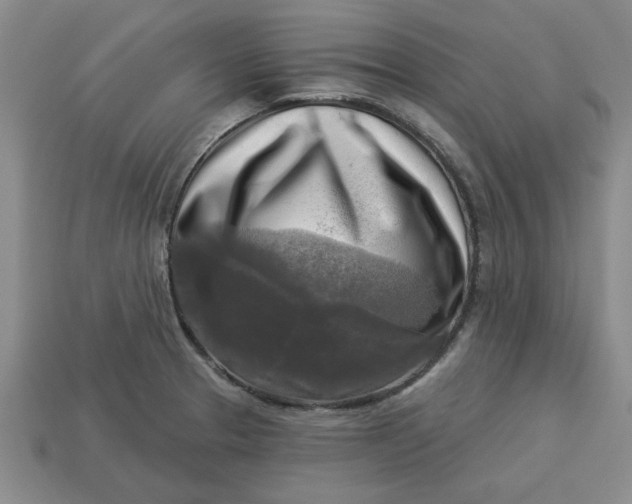 X0000113301329200910051034