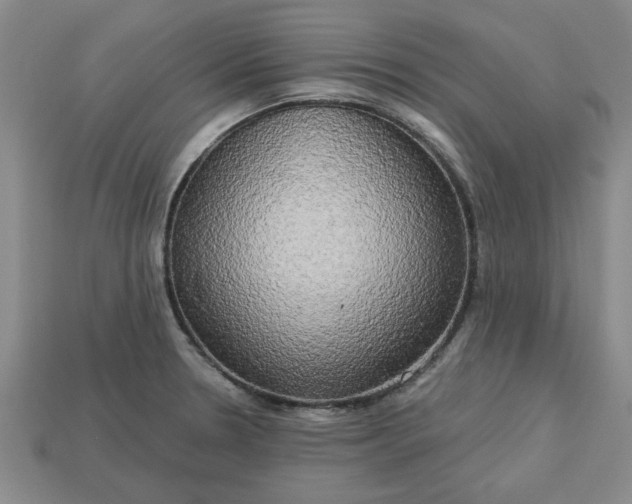 X0000113301330200910051034